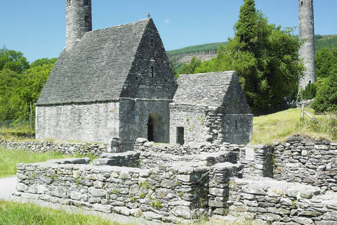 Da Dublino: Tour di Wicklow e Glendalough con dimostrazione di cani da pastore