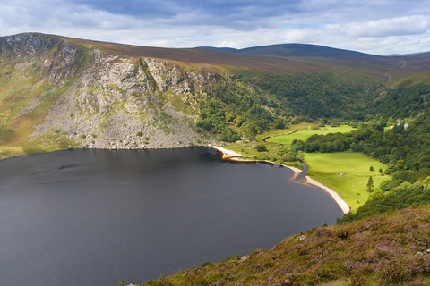 De Dublin: Passeio por Wicklow e Glendalough com demonstração de cães pastores