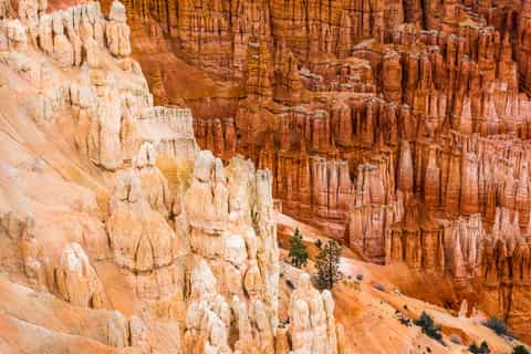 Bryce Canyon National Park Day Tour