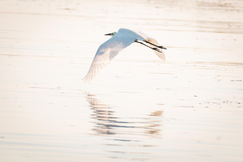 Victoria Fall: Guided Chobe Game Drive, River Cruise & Lunch