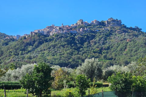ETNA VILLAGES: OIL & RICOTTA TASTING with Lunch