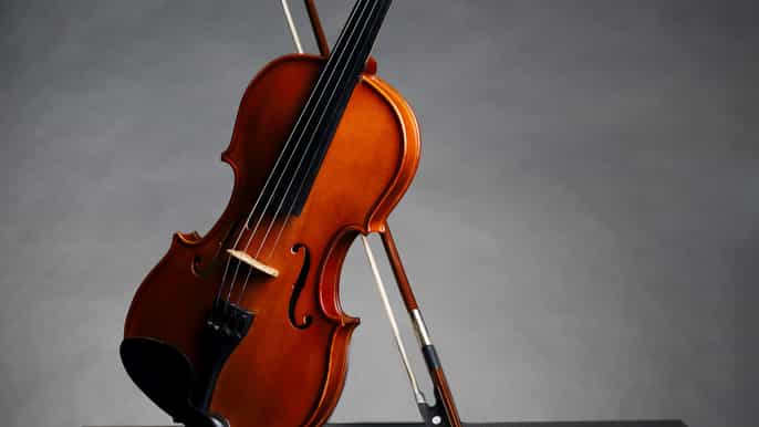 afternoon access to accademia gallery david stradivarius