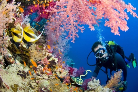 Scuba Diving, Snorkeling and Pick-up, Lunch Full-Day; Scuba Diving, Snorkeling and Pick-up, Lunch