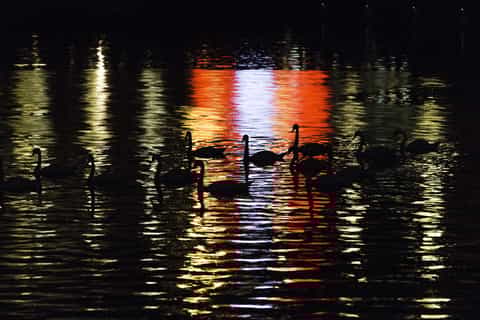 Prague Jazz Boat Evening Cruise