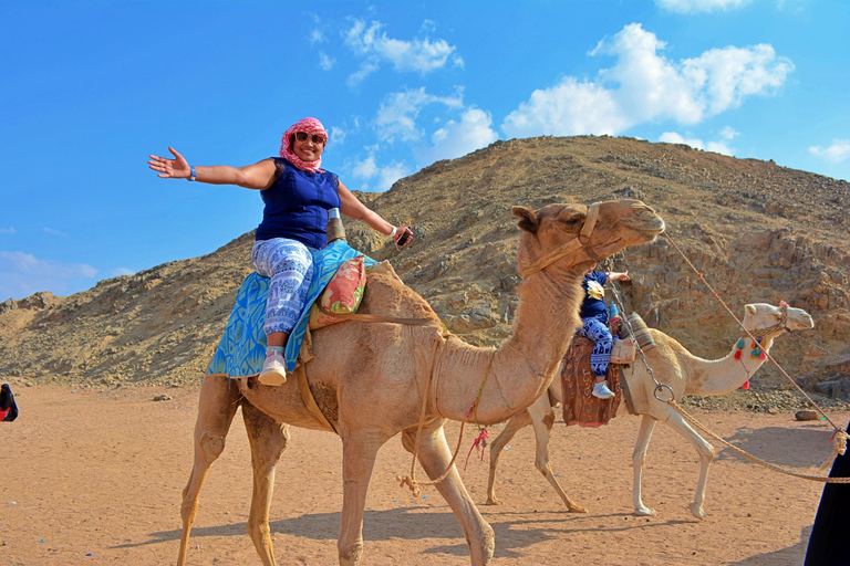 Hurghada: Mega Safari, ATV, 4x4WD Jeep, Camel w/ BBQ & Show Mega Safari (Group Tour)