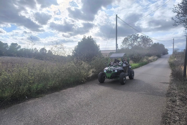 Mallorca: Buggy Tour Adventure with Cove Swimming