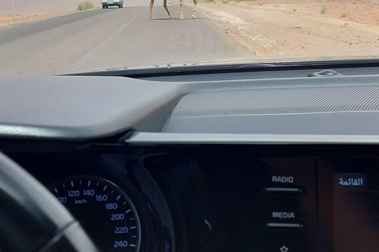 Alquila un coche con conductor para visitar todo Jordania desde Ammán.Por Un Día Coche Con Conductor.