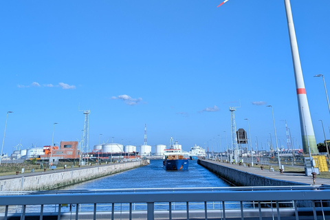 Antwerp: Private Guided City & Port Vespa tour