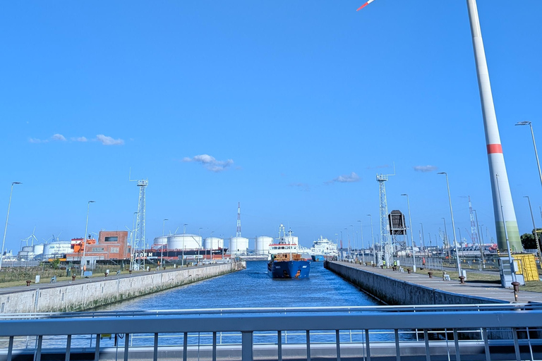 Antwerp: Private Guided City & Port Vespa tour