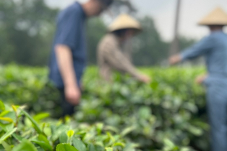 Hanoi Eco Tour: Wunder des Ba Vi Nationalparks und TeeplantagePrivate Tour