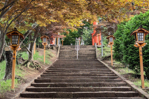 Tóquio: Monte Fuji, Parque Arakura Sengen, excursão de ônibus Oshino HakkaiDe Shinjuku para o Monte Fuji às 8:30h