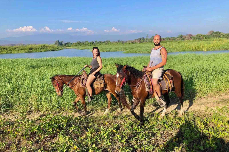 From Huatulco: Beach Horseback Riding Experience Regular Beach Horseback Riding Tour (2 hours)