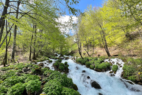 Entdecke Montenegro in 3 Tagen Tour ab Podgorica Stadt