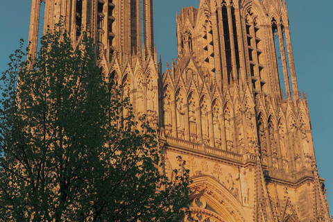 Reims: Cathedral Tour & Champagne Tasting