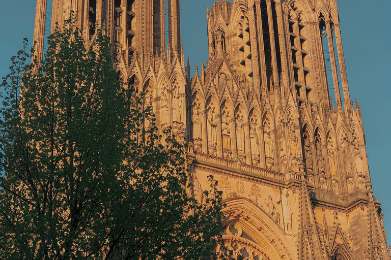 Reims: Cathedral Tour & Champagne Tasting