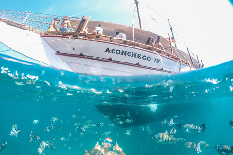 Rio de Janeiro: Ilha Grande Boat Tour, Blue Lagoon & Lunch