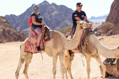 Sharm El Sheikh: ATV, Camel Ride with BBQ Dinner and Show Single Quad Bike