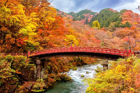 From Tokyo: Nikko UNESCO Shrine and Nature View Day Tour From Tokyo