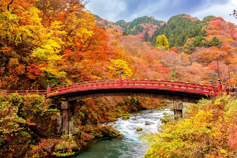 From Tokyo: Nikko UNESCO Shrine and Nature View Day Tour From Tokyo