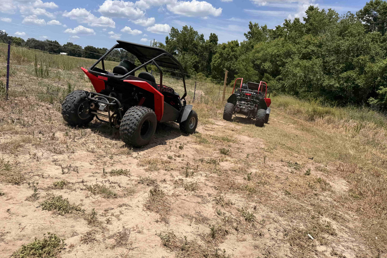 Bamboo Dune Buggy Tour