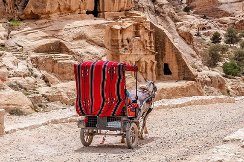 Viagem de dia inteiro Amã - Petra - Wadi Rum