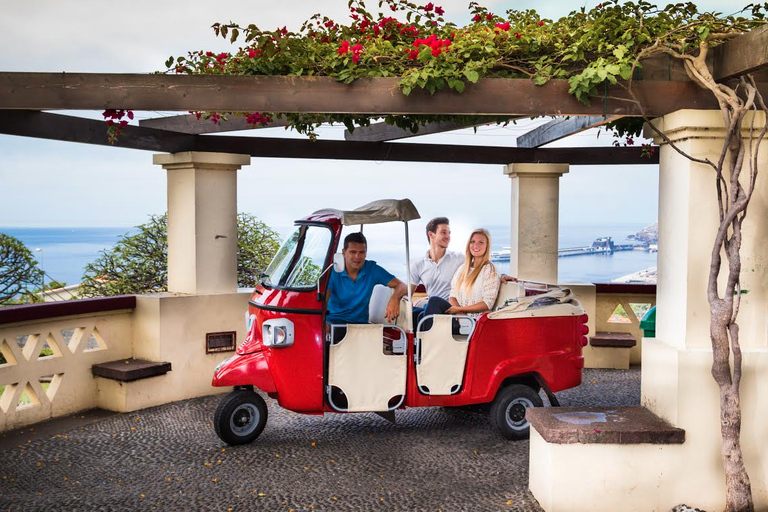 Uitzichtpunten van Funchal: begeleide tuktuk-tour van 90 minuten