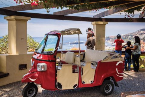 Uitzichtpunten van Funchal: begeleide tuktuk-tour van 90 minuten