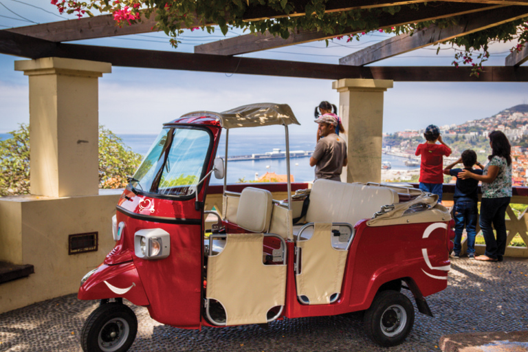 Miradouros do Funchal: tour guiado de 90 minutos em tuk tukTour em inglês, português ou espanhol