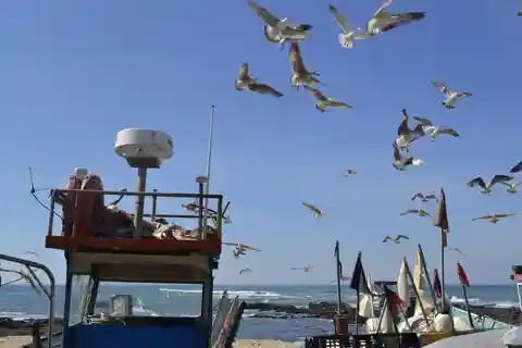 Private Best Fish Experience