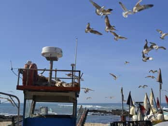 Private Best Fish Experience