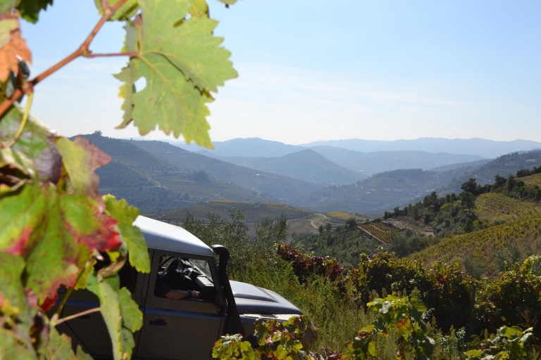 Visite privée de la vallée du Douro en 4x4 avec dégustation de vins et pique-nique