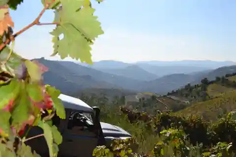Private Douro Valley 4WD Tour with Wine Tasting and Picnic