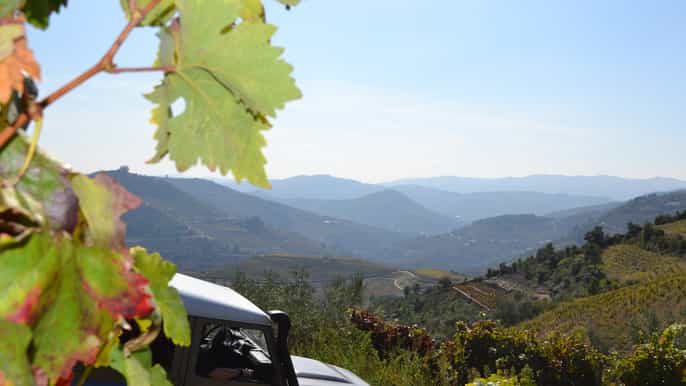 douro valley 4wd tour with wine tasting and picnic