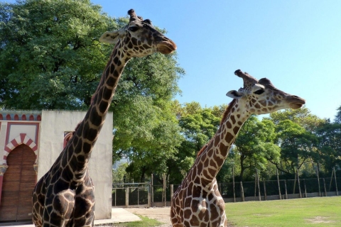 De Buenos Aires: visite du zoo de Temaikèn avec billet inclus