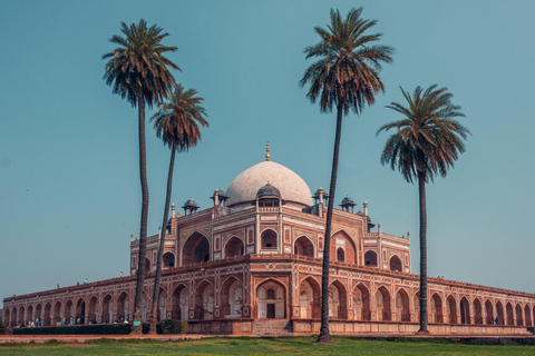 Old Delhi : visite culinaire avec véhicule en optionVisite culinaire non végétarienne