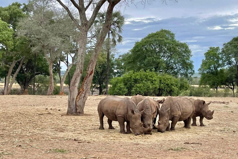 Livingstone: Rhino Walk, Victoria Falls &Mukuni Village Tour