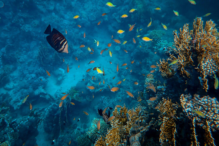 Bali: Blue Lagoon Snorkeling & Hidden Beach Escape Private – With Hotel Transfer