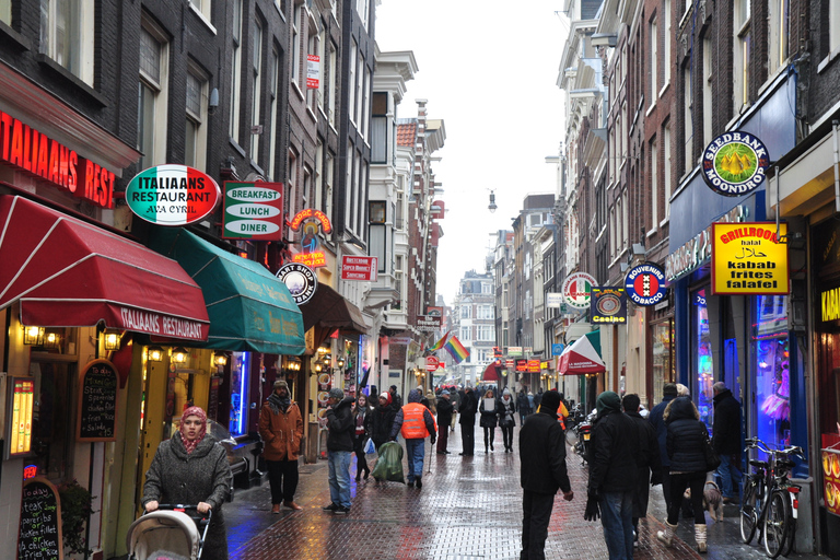 Amsterdam: Private Half-Day Walking Tour