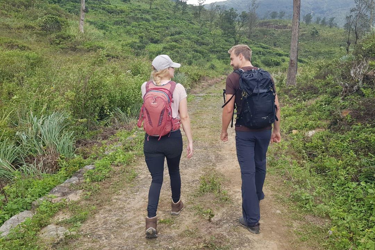 纳克尔斯峰探险和希洛亚村露营 2 日游