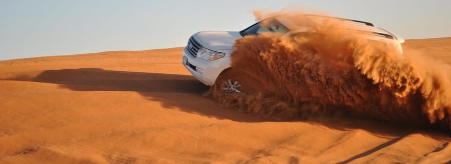 Ras Al Khaimah : Safari dans le désert l'après-midi et dîner barbecue
