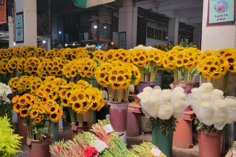 Mexico : Visite du marché végétalien et végétarien avec cours de cuisine