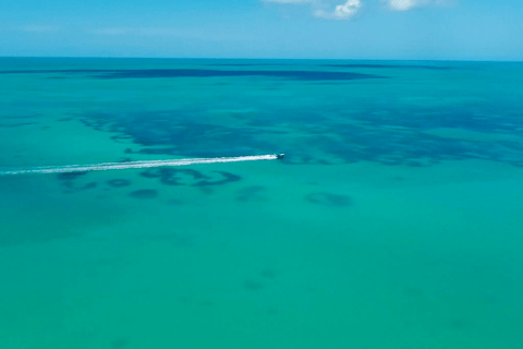 Holbox : boat tour, golfcart, beach club, pick up available Holbox tour from Cancun hotel zone , Costa mujeres, downtown