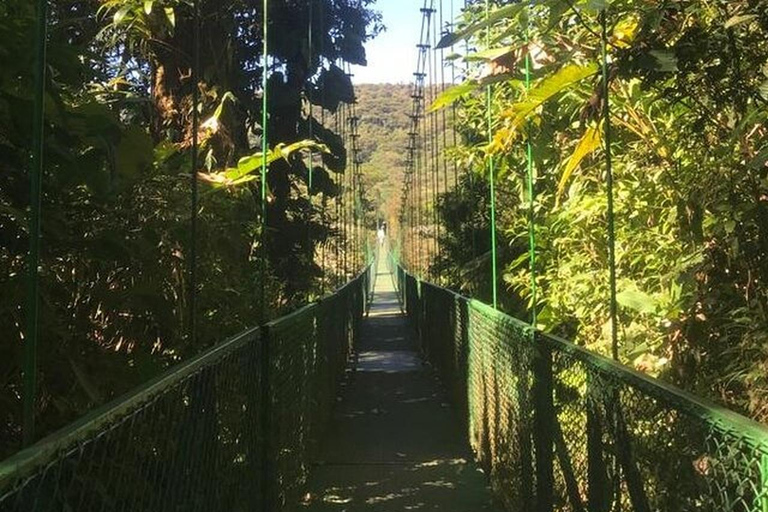 Monteverde Cloud Forest and Butterflies Garden Tour