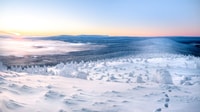 Levi, 4 Stunden Schneemobil Safari zu den Fellen in Levi - Hizvo