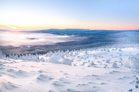 Levi: 4 timmars snöskotersafari till fjällen i Levi