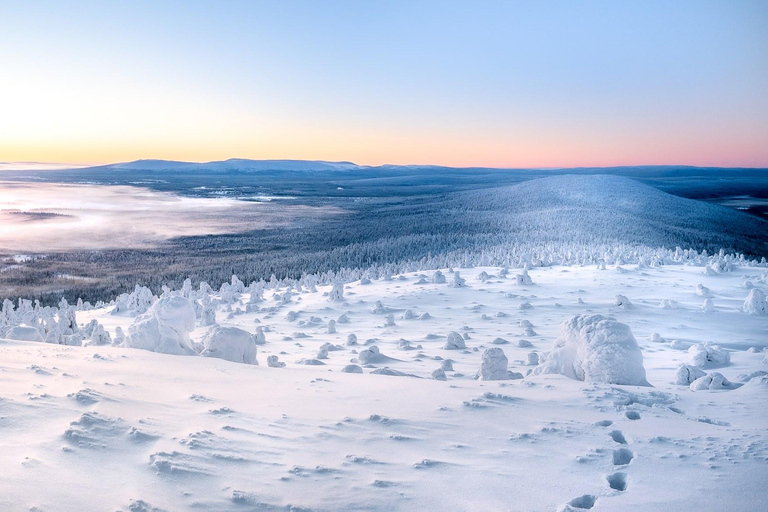 Levi: 4 timmars snöskotersafari till fjällen i Levi