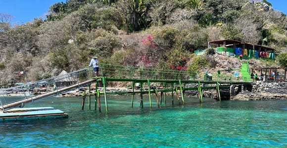 Coral island guayabitos beach and snorkeling