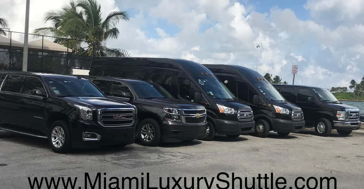 Port of Miami Shuttle to Miami Airport or Hotel in Miami GetYourGuide