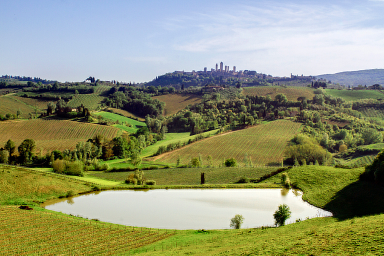 Florencja: Siena, San Gimignano i degustacja wina Chianti