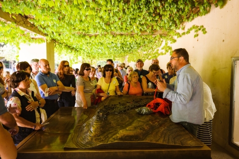 Costa del Sol : visite de Grenade, Alhambra et GénéralifeDepuis Estepona : excursion en anglais